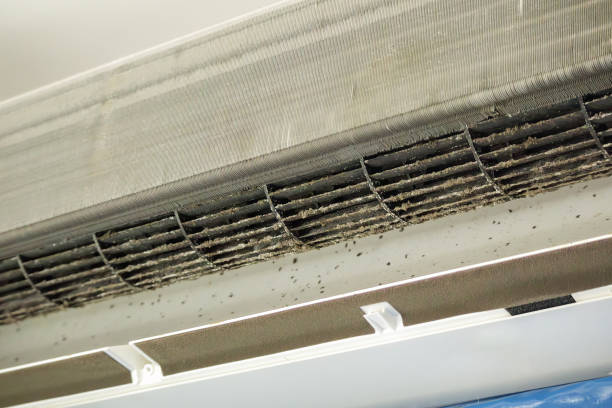 Best Air Duct Cleaning Near Me  in Dunlap, IA